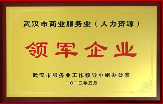 喜報丨熱烈祝賀騰飛人才榮獲武漢市服務業領軍企業稱號